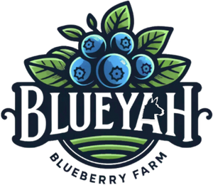 Blueyah Blueberry Farm